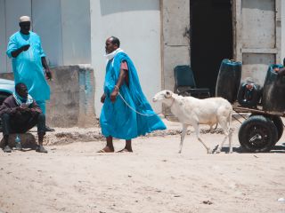Fish market, Nouakchott