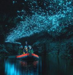 Waitomo Glowworm Caves