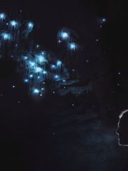 Waitomo Glowworm Caves