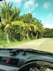 Babeldaob island Palau