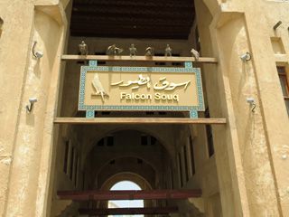 Falcon souq