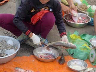 Ho Chi Minh City