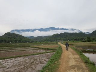 Mai Chau